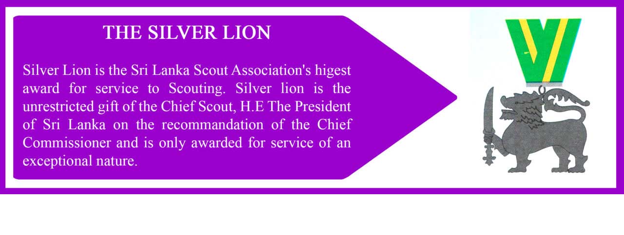 THE SILVER LION